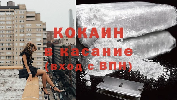 дживик Аркадак