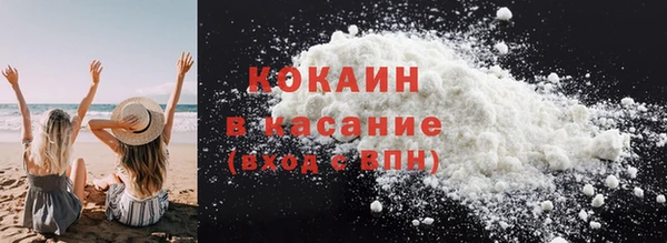 дживик Аркадак