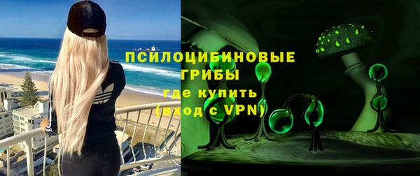 дживик Аркадак